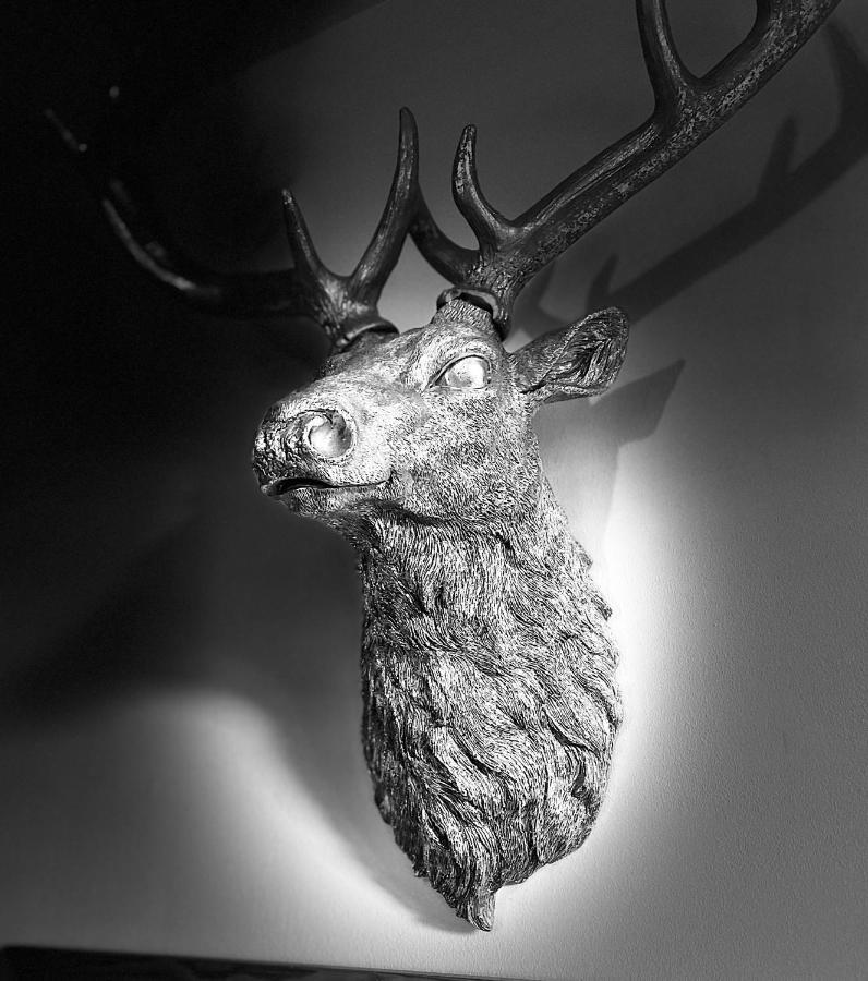 Grey Stag Apartment Nairn Luaran gambar