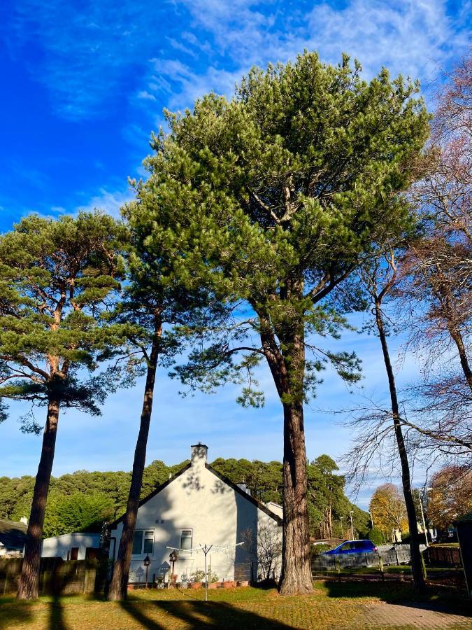 Grey Stag Apartment Nairn Luaran gambar
